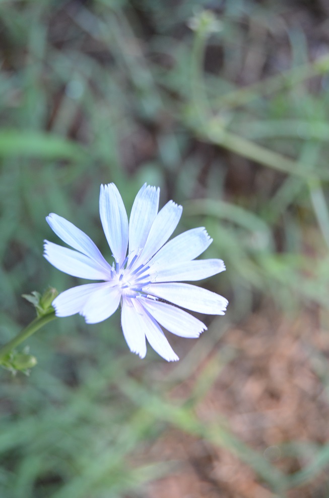 No s'ha trobat l'arxiu